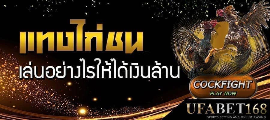 แทงไก่ชน