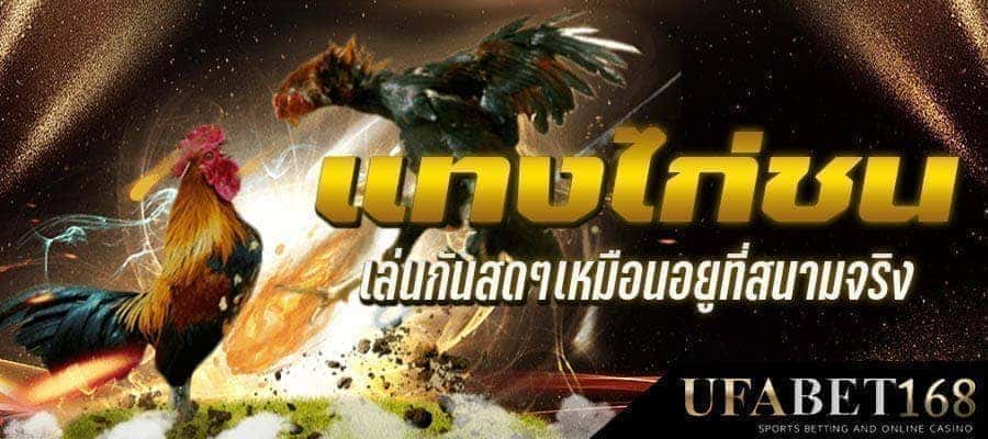 แทงไก่ชน